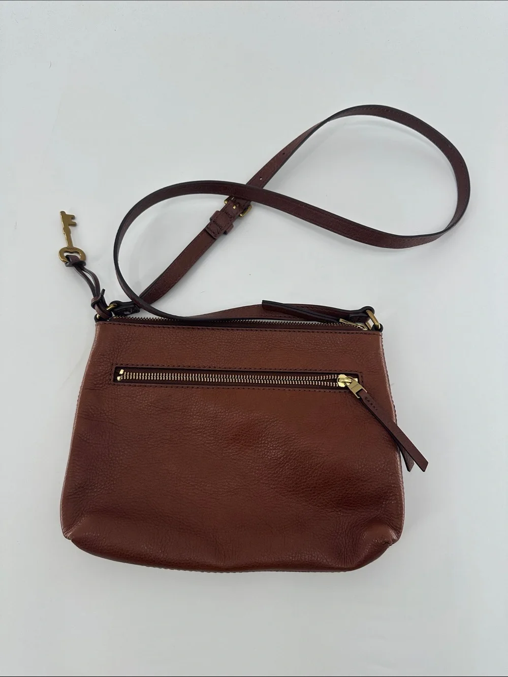 Fossil compact pebbled